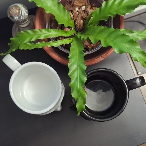 Cordon Bleu Ceramic Face Mugs with Open Mouth Cookie Holder Set of 2 - Picture 6 of 6